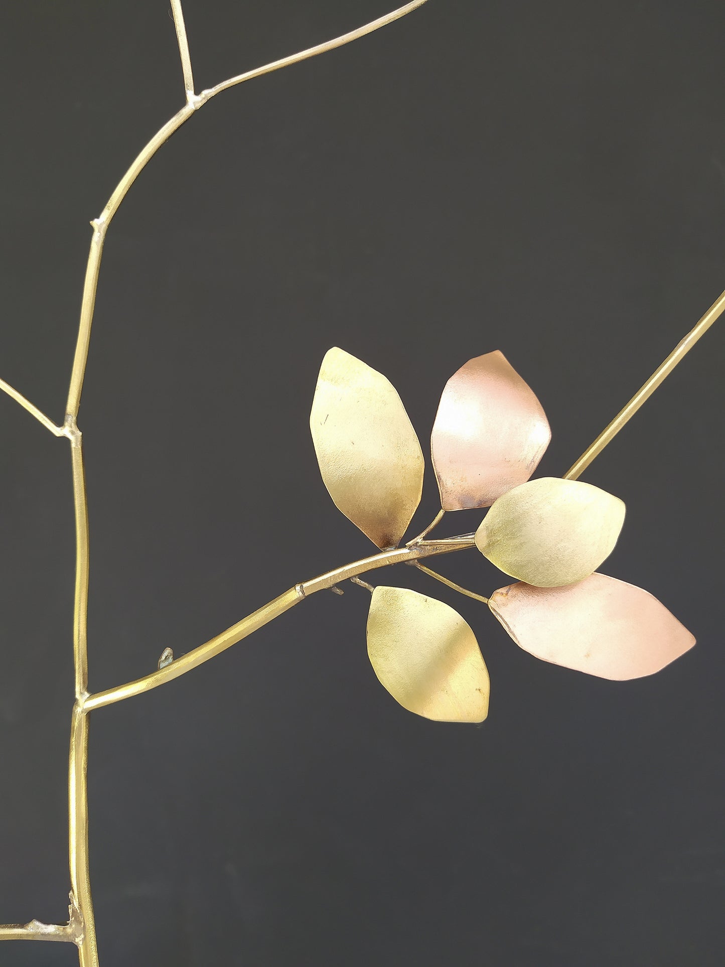 Sleeping Almond Tree