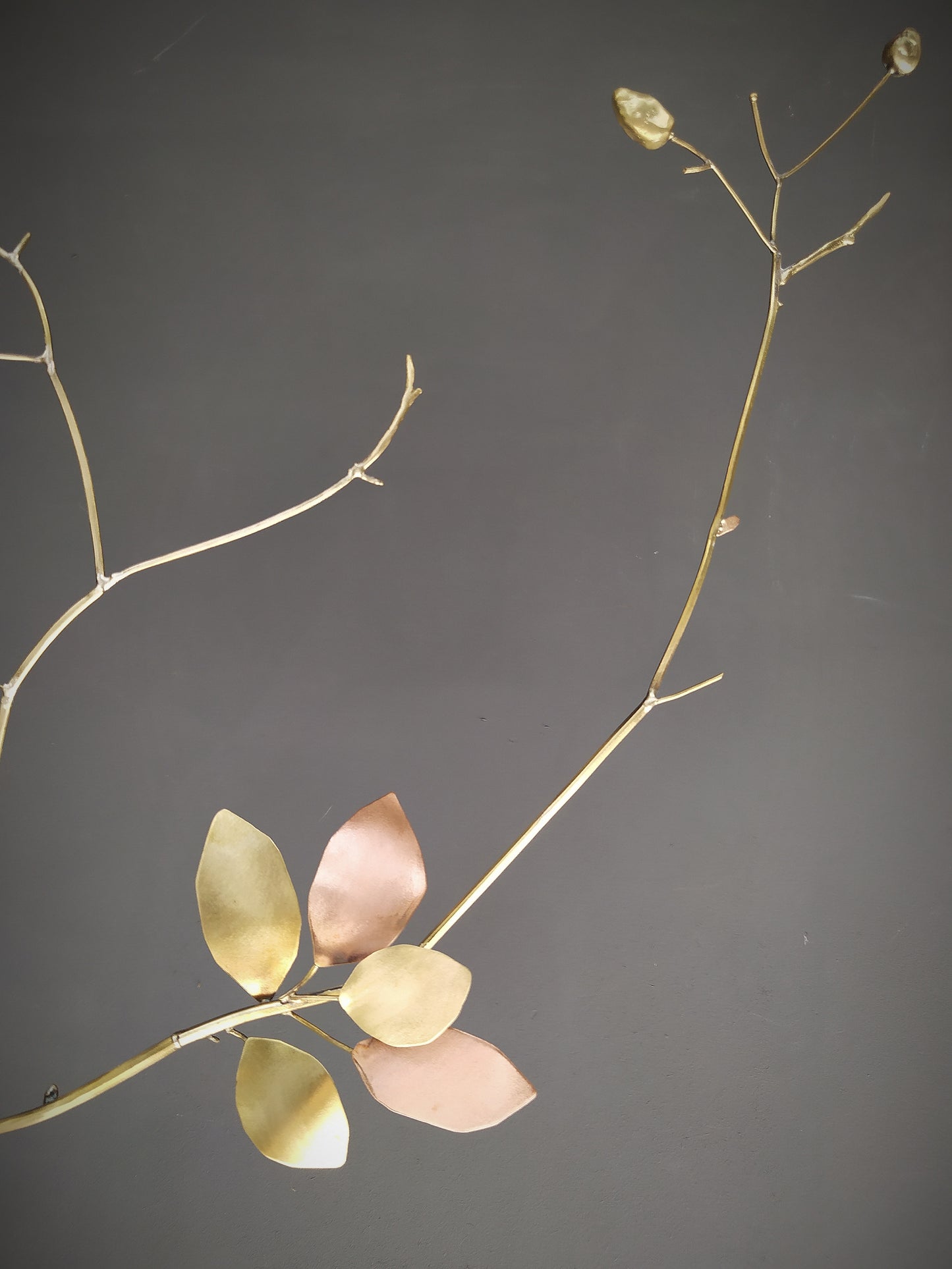 Sleeping Almond Tree