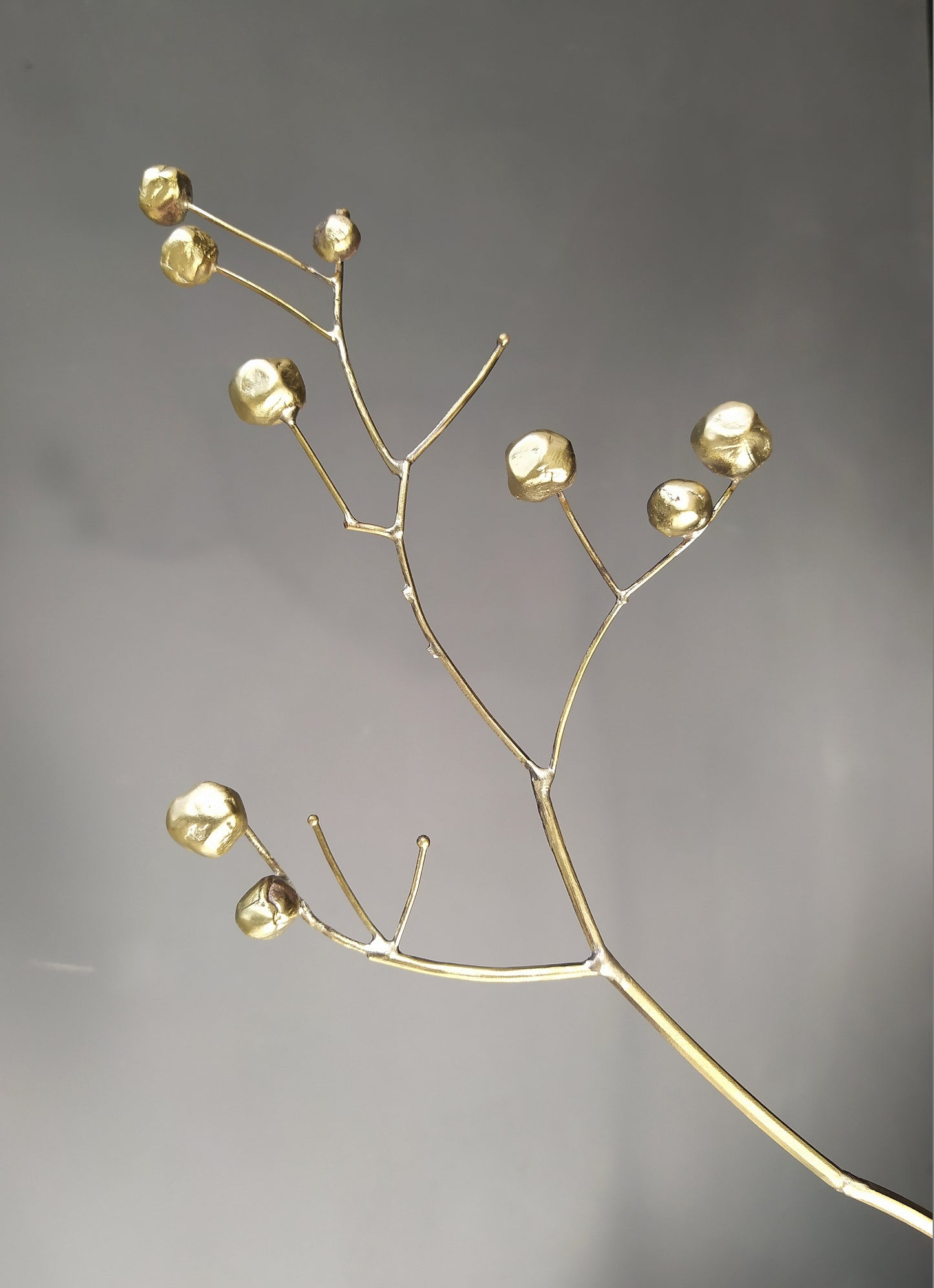 Sleeping Almond Tree